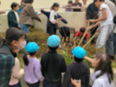 9e8d92e3-f8d2-4441-936c-42c2c9e2171c