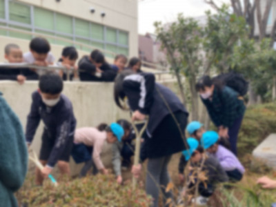 c03cfd54-dbe6-4651-94c9-fe0a307e5c2f