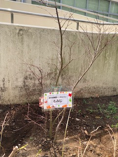 3f771191-7854-4209-ba97-8239ab08dbcc