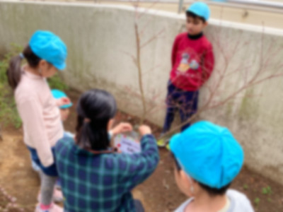 09266dce-5b54-48de-a57a-7194e91f8e3f